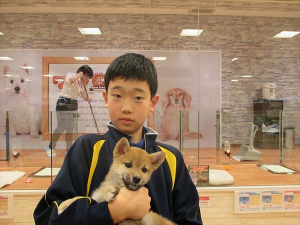 写真