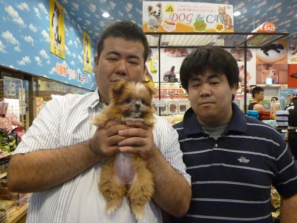 写真