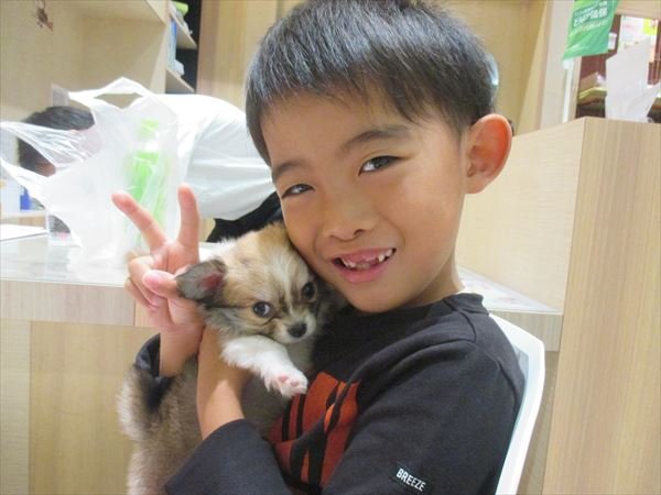 写真