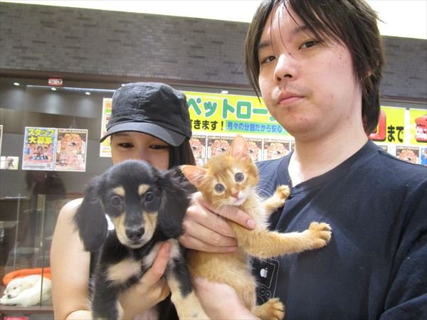 写真
