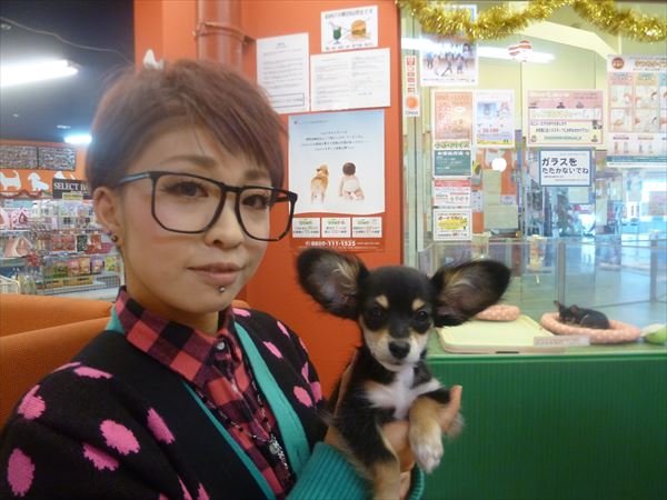 写真