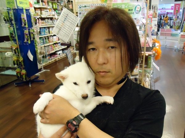 写真