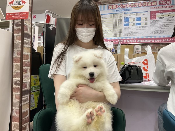 写真