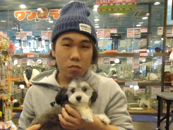 写真