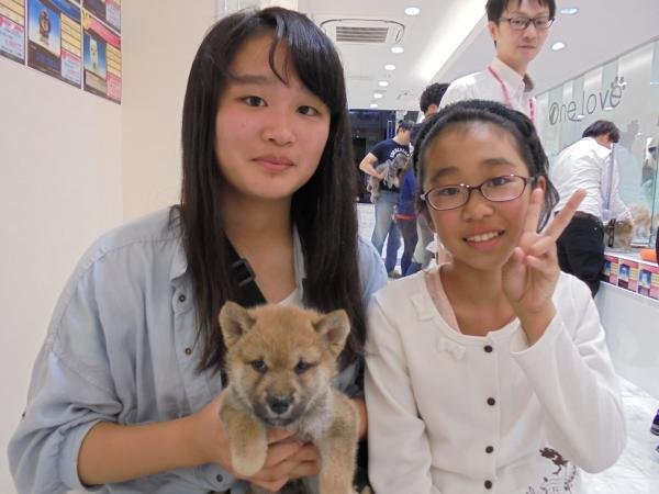 写真