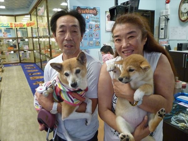 写真