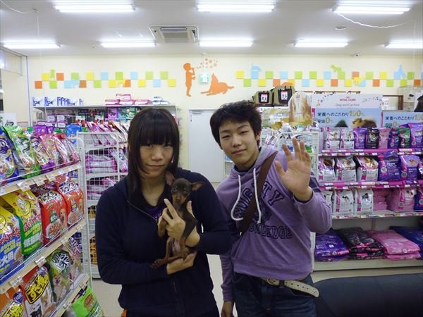 写真