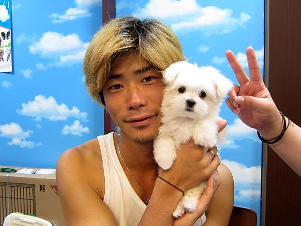 写真