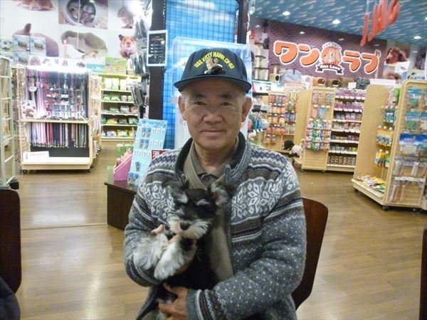 写真