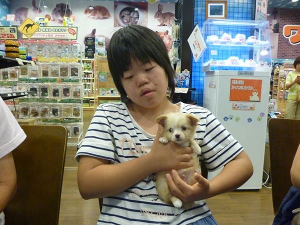 写真