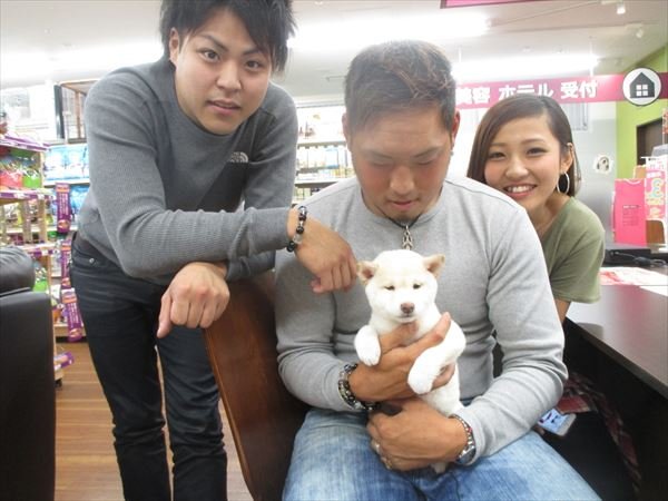 写真
