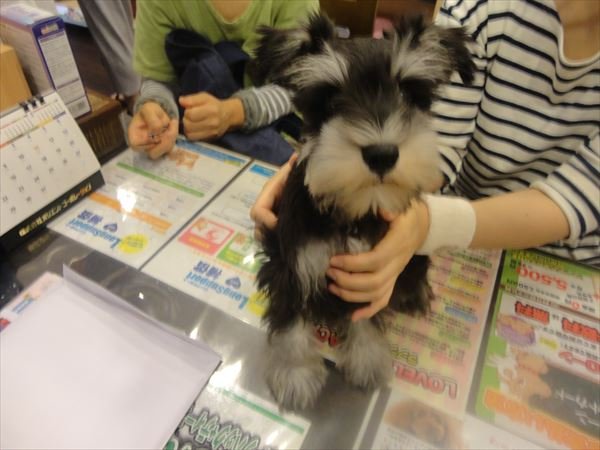 写真