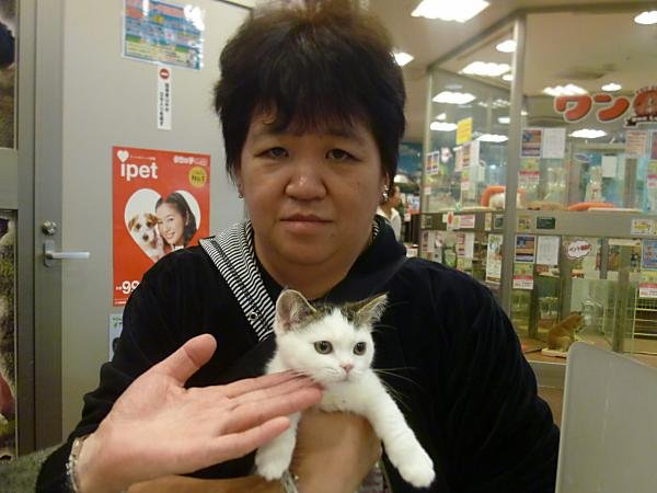 写真