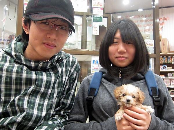 写真