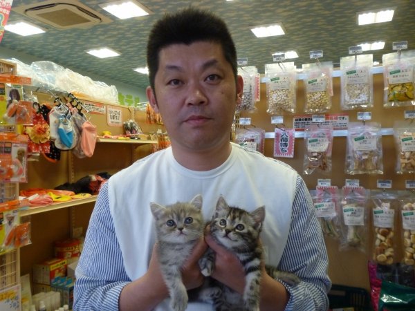 写真