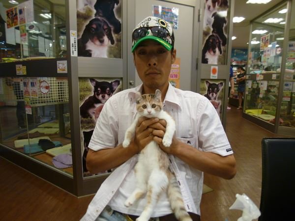 写真