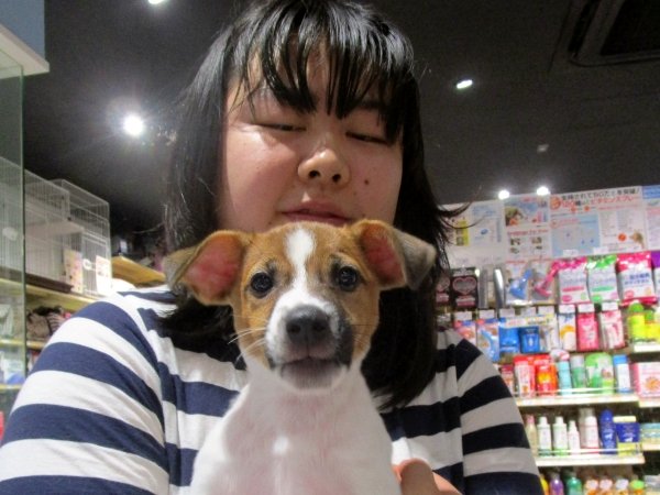 写真