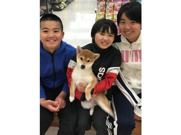 写真