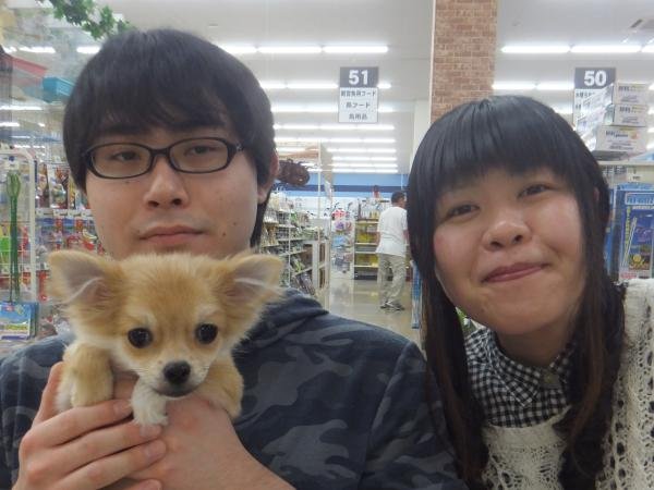 写真