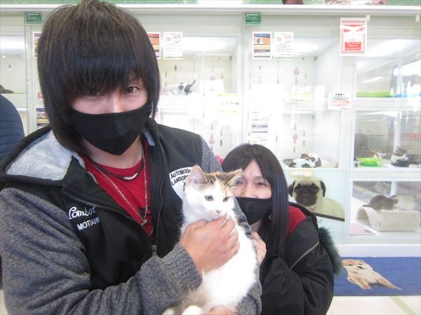 写真