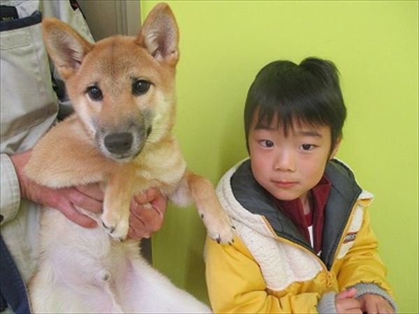 写真