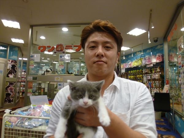 写真