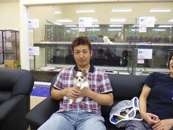 写真
