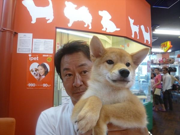 写真