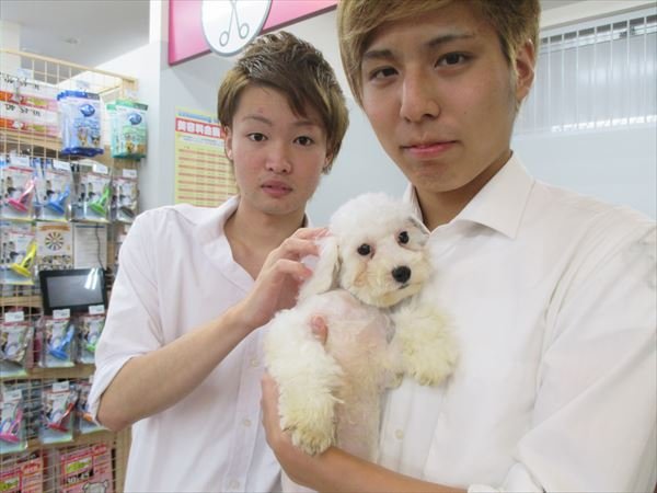 写真