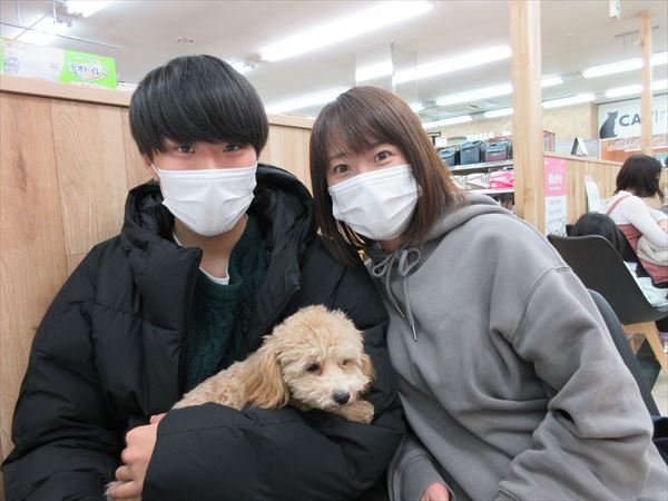 写真
