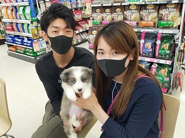 写真