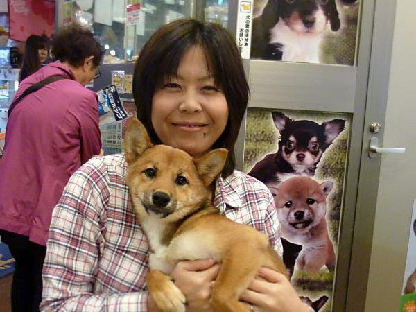 写真