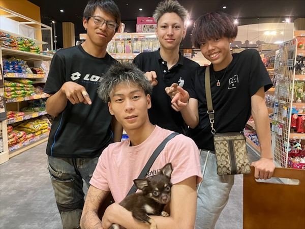 写真