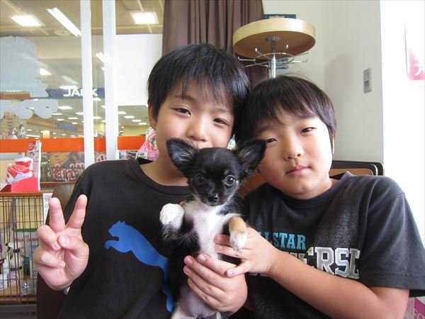 写真