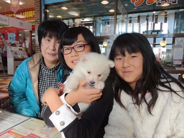 写真