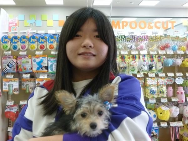 写真