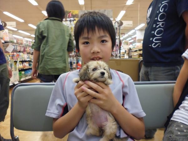 写真