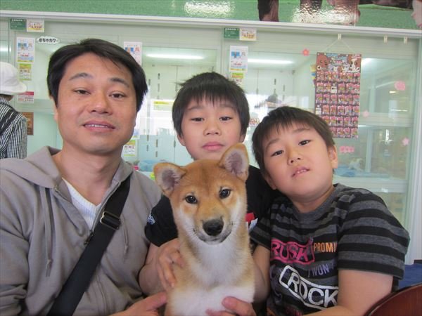 写真