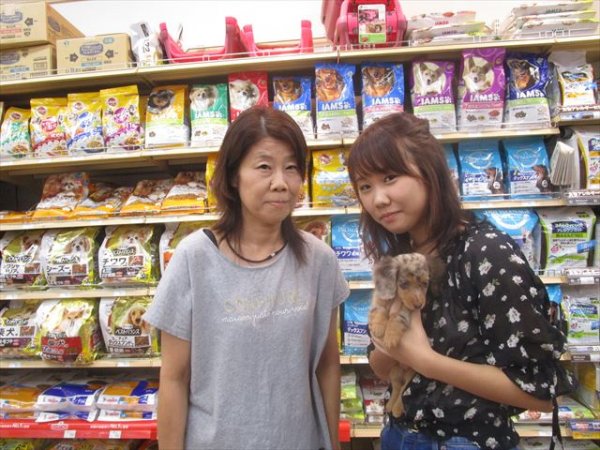 写真