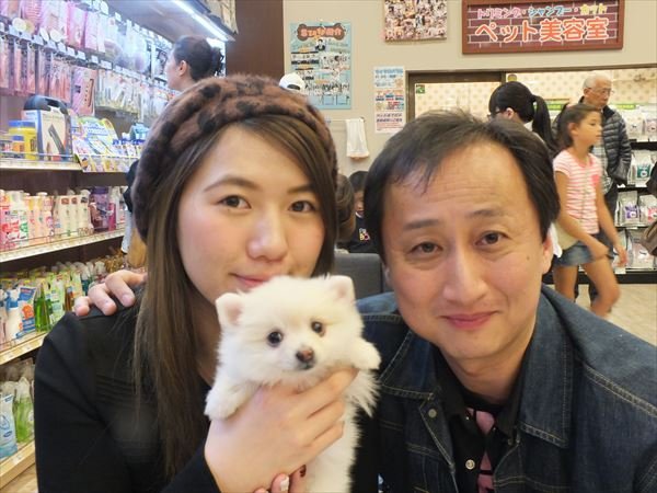 写真