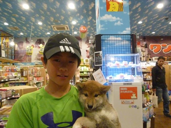 写真
