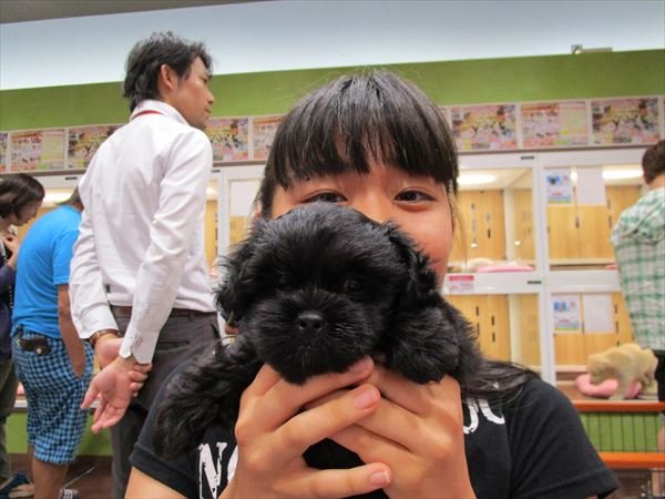 写真