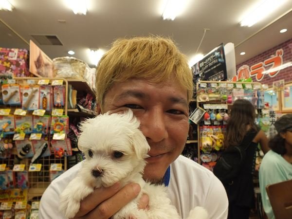 写真