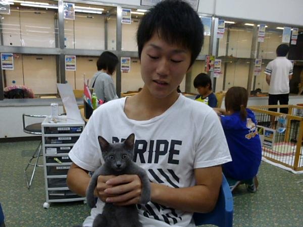 写真