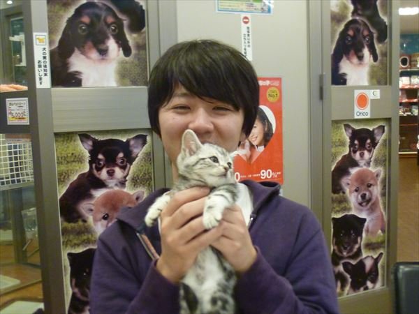 写真
