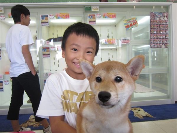 写真