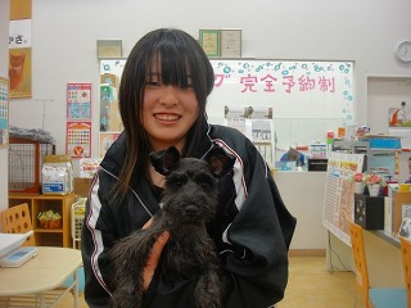 写真