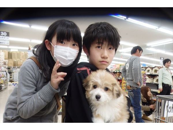 写真
