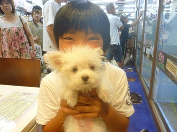 写真