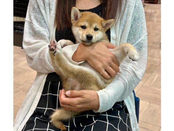 写真